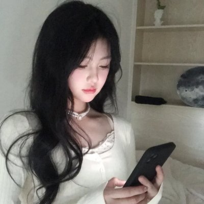 公主复仇者